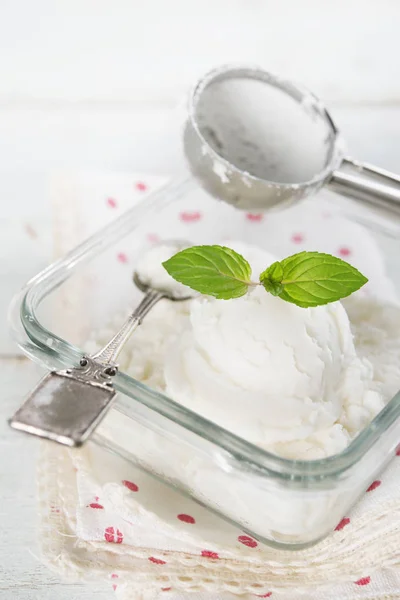 Kokosová zmrzlina — Stock fotografie