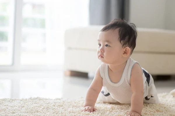 Niño arrastrándose en la alfombra . —  Fotos de Stock