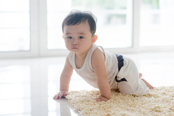 Здоровый мальчик ползает по ковру . — стоковое фото