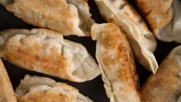 Asiatisk mat stekt dumpling i matlagning pan — Stockvideo