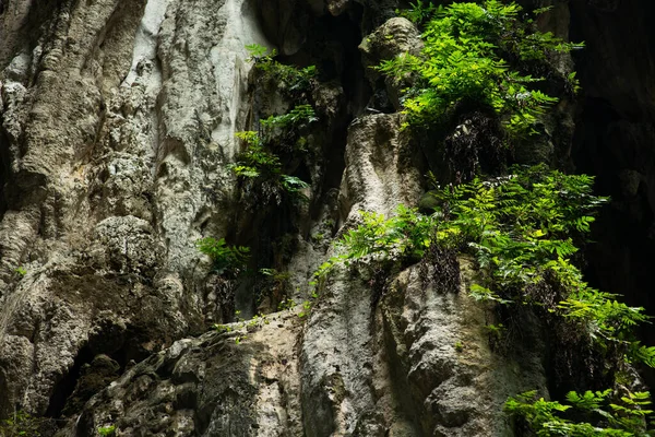 Vue Dans Les Grottes Batu Kuala Lumpur Malaisie — Photo