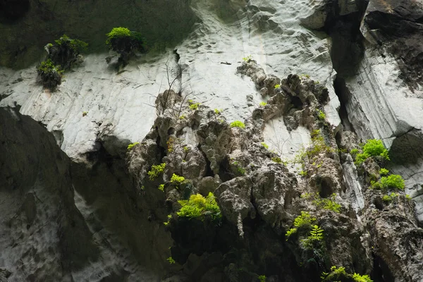 Vue Dans Les Grottes Batu Kuala Lumpur Malaisie — Photo