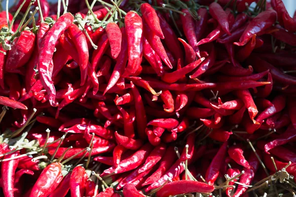 Tło czerwone papryki chili w kilka w słońcu — Zdjęcie stockowe