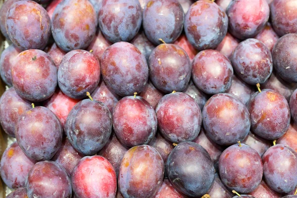 Background of fresh ripe plums — Stock Photo, Image