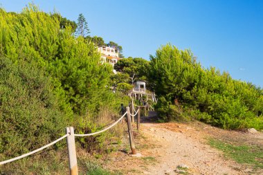 Yol bir Grove ip Küpeşte ile