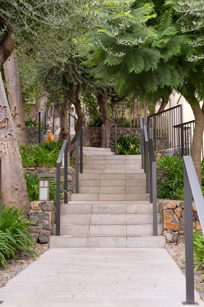 Escaleras de hormigón en verde — Foto de Stock