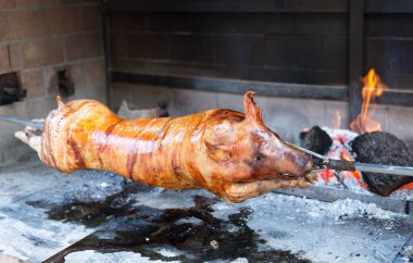 kavrulmuş emzirmeyi pig