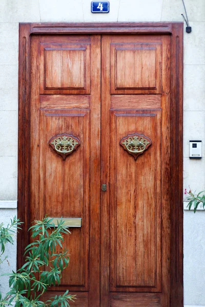 Lusso vecchia porta di legno — Foto Stock