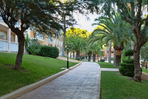 Path between in the park — Stock Photo, Image