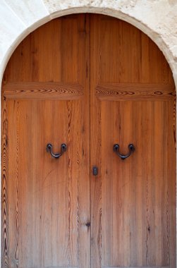 Lüks eski ahşap kapı portre