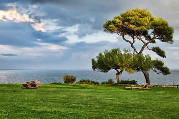 Prato con sedie a sdraio e vista sul mare Immagine Stock