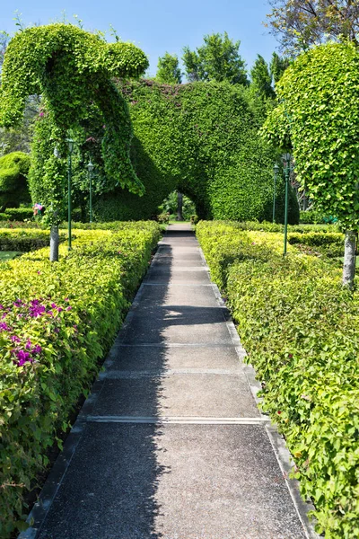 Path to the manicured bushes. — Stock Photo, Image