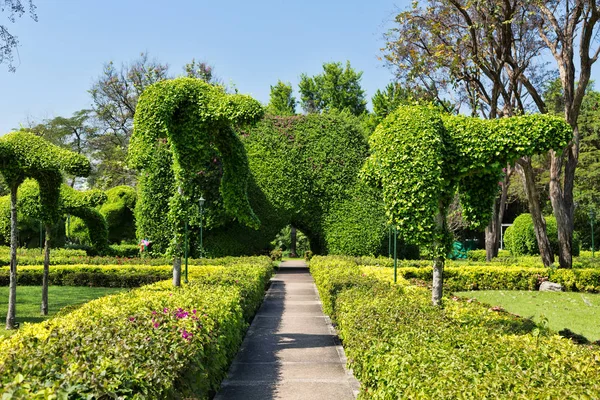 Weg zu den gepflegten Büschen. — Stockfoto