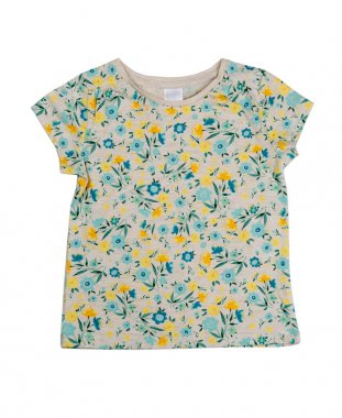 Çiçek desenli olan gri tişört. İzole