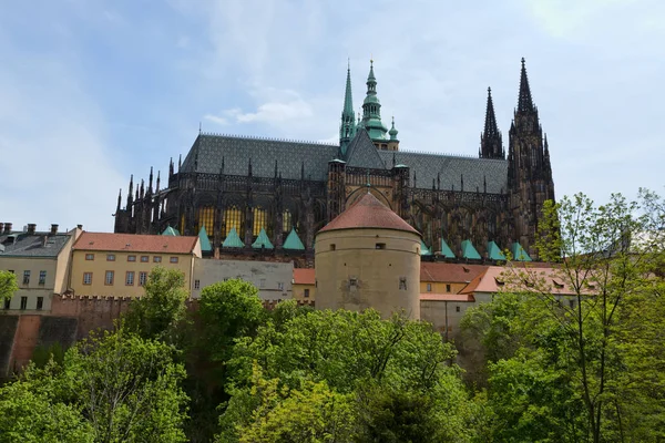 Pragborgen och katedralen saint Vitus i Prag, tjeckiska Repu — Stockfoto