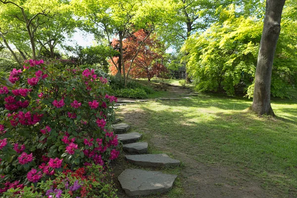 Path in the garden — Stock Photo, Image