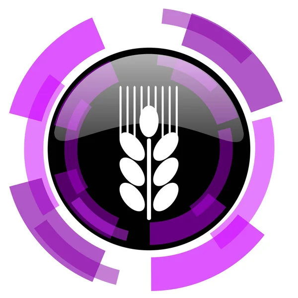 Grain Rose Violet Design Moderne Vecteur Web Smartphone Icône Bouton — Image vectorielle