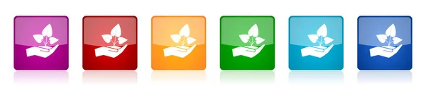 植物护理手图标集 六种网页设计和移动应用程序选项中色彩艳丽的正方形矢量插图 — 图库矢量图片
