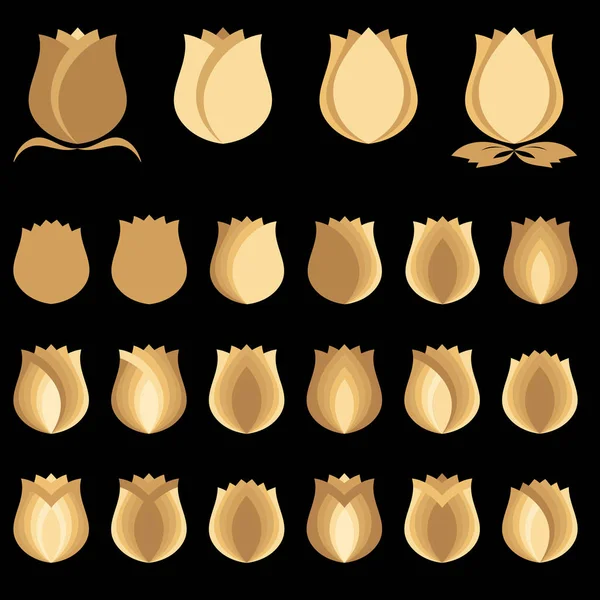 Vector Ilustración Diseño Tulipanes Oro Flores Símbolo Conjunto — Archivo Imágenes Vectoriales