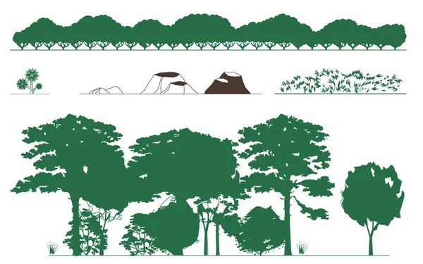 Vektorové Ilustrace Návrh Sady Různých Zelených Stromů — Stockový vektor