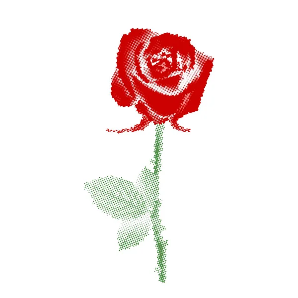 红玫瑰与点设计 半色调 矢量插图 — 图库矢量图片