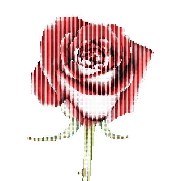 Rosa Roja Con Diseño Puntos Semitono Ilustración Vectorial — Vector de stock