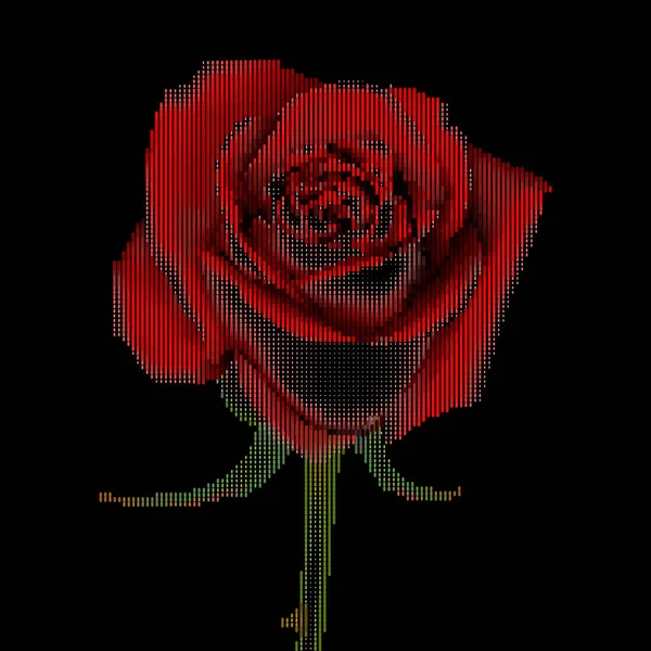Rote Rose Mit Punktedesign Halbton Vektorillustration — Stockvektor