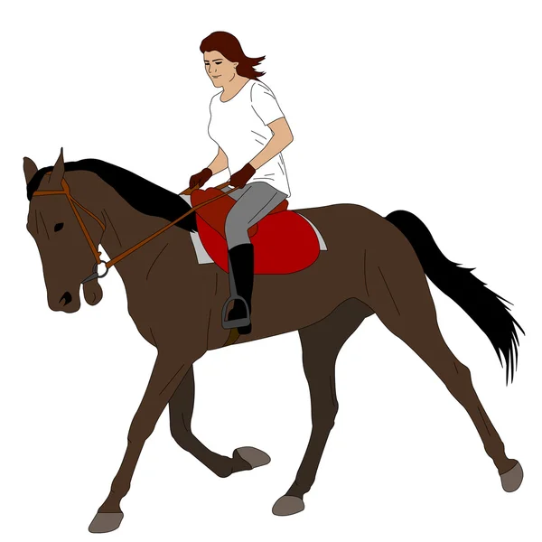 Frau reitet Pferd 3 — Stockvektor