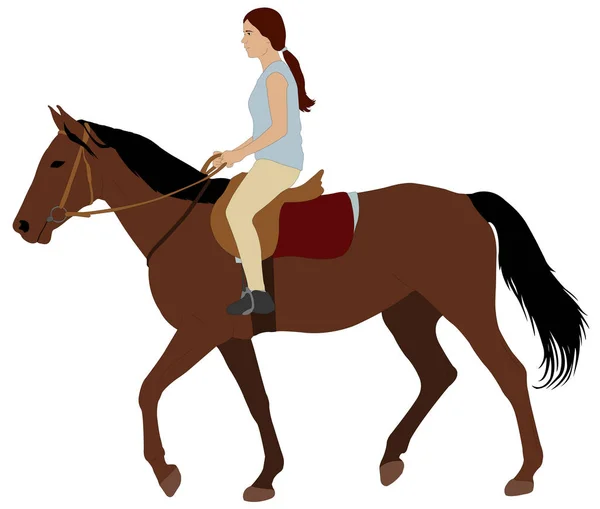 Chica montando un caballo — Vector de stock