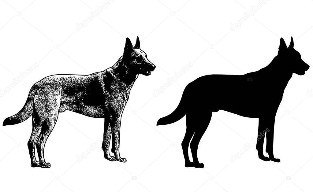 german shepherd dog silhouette and sketch illustration 