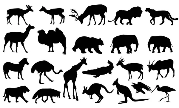 Zoo djur samling — Stock vektor