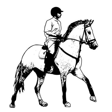 binicilik, resim çizimi