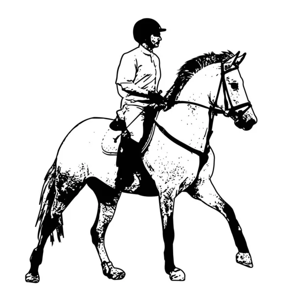 Equestrian, sketch illustration — Stock Vector