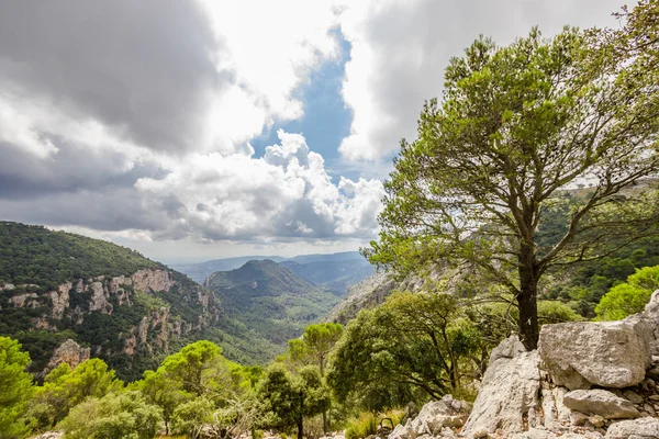 Hermosa vista de Sierra de Tramuntana, Mallorca, España — Foto de Stock