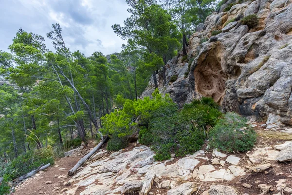 Belle vue sur la Sierra de Tramuntana, Majorque, Espagne — Photo