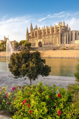 Palma de Mallorca 'daki Santa Maria Katedrali, La Seu, İspanya