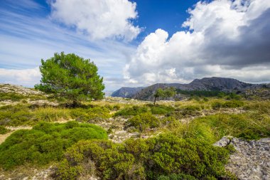 Güzel manzarasına Sierra de Tramuntana, Mallorca, İspanya