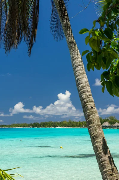 Paradise view Atoll Rangiroa, Francia Polinézia — Stock Fotó