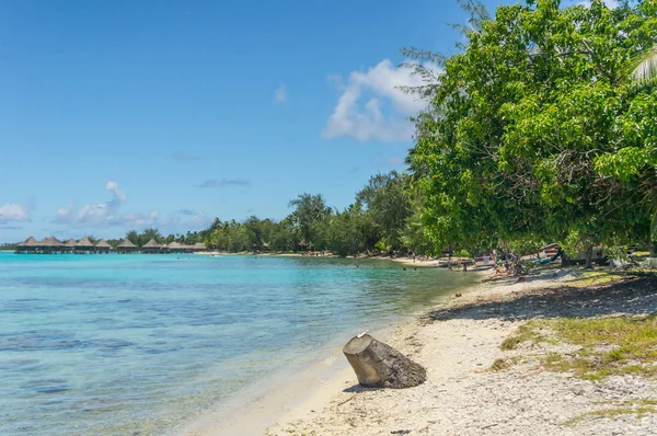 ΠΑΡΑΝΤΑΙΖ ΒΙΟΥ του Rangiroa atoll, Γαλλική Πολυνησία — Φωτογραφία Αρχείου