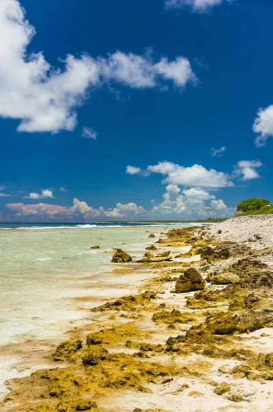 Cennet görünümü Rangiroa Atoll, Fransız Polinezyası