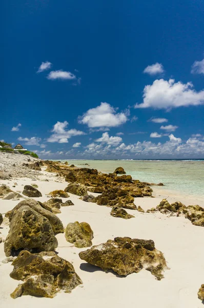 Cennet görünümü Rangiroa Atoll, Fransız Polinezyası