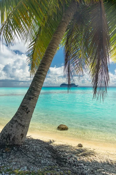 Cennet görünümü Rangiroa Atoll, Fransız Polinezyası — Stok fotoğraf