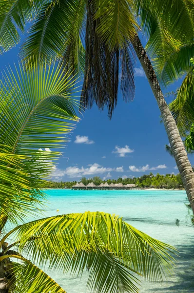 Vista paradisiaca dell'atollo di Rangiroa, Polinesia Francese Foto Stock