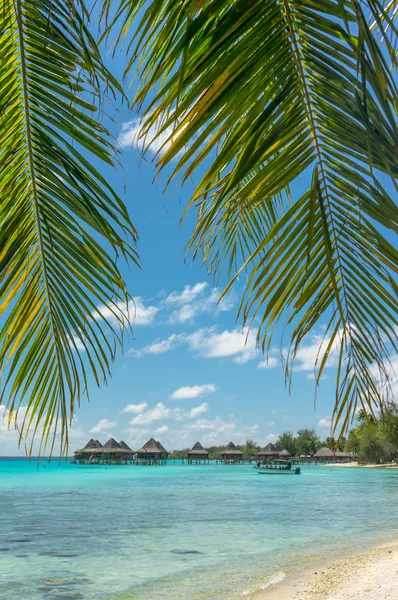 Paradise weergave van Rangiroa-atol, French Polynesia Stockfoto