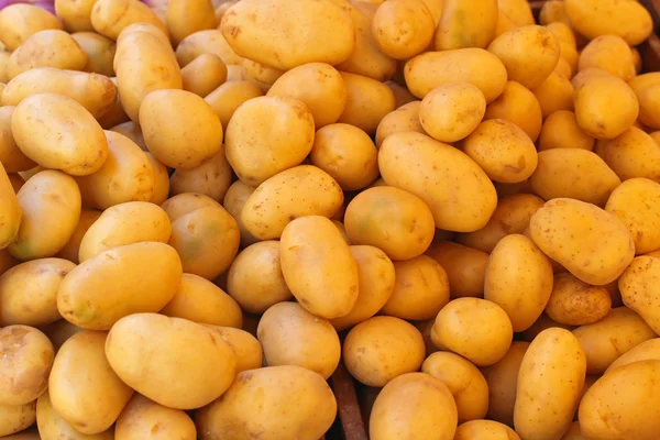 Jonge rauwe aardappelen — Stockfoto