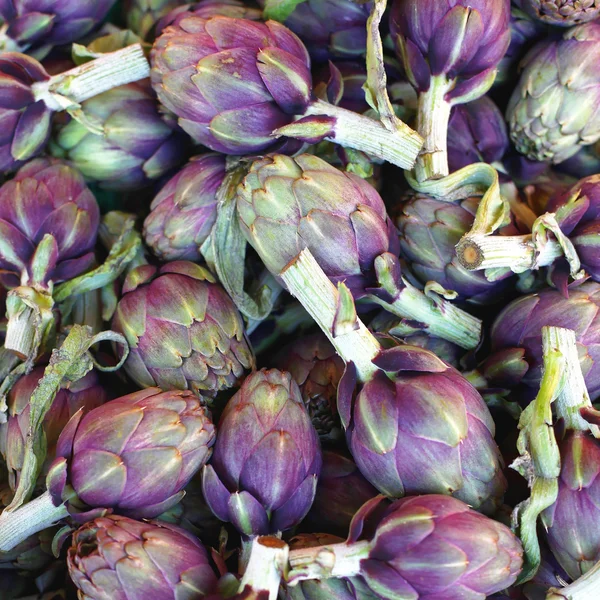 Alcachofas globo púrpura —  Fotos de Stock