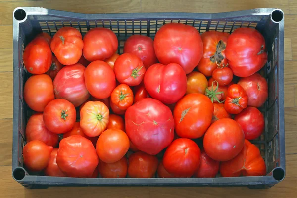 Tomato in Crate — Stock Photo, Image