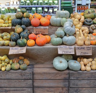 squashes ve kabaklar