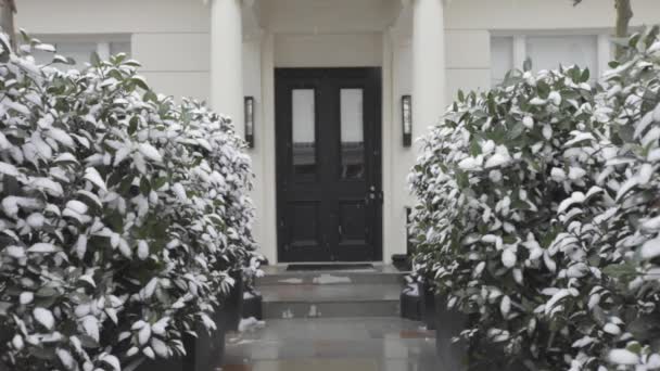 Двері зі снігом — стокове відео