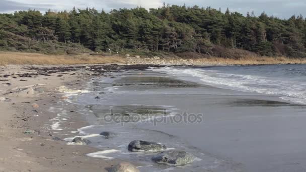 Isola di Hvaler Norvegia — Video Stock